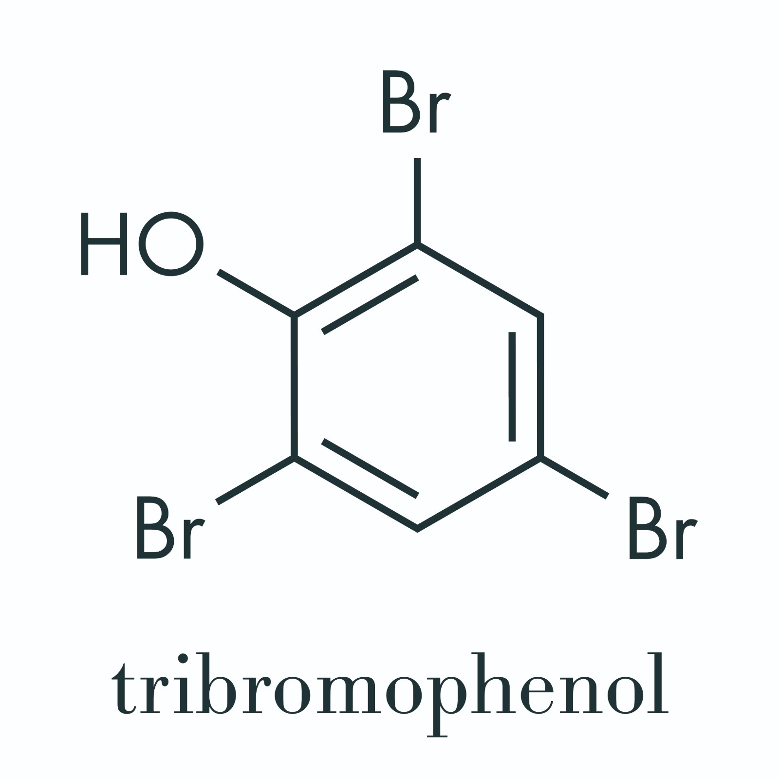 Proposed flame retardant mechanism