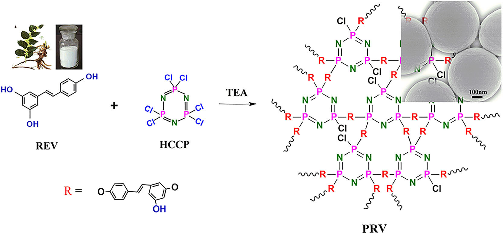 The synthetic route of PRV microspheres