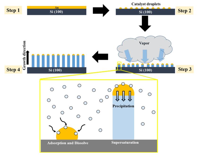 The schematic diagram of ZnS NWs synthesized by thermal evaporation.